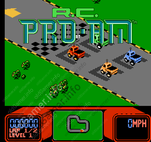 pro am nes